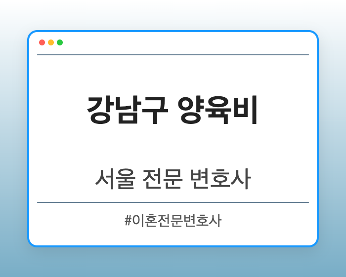 강남구 양육비 | 서울 이혼전문 변호사